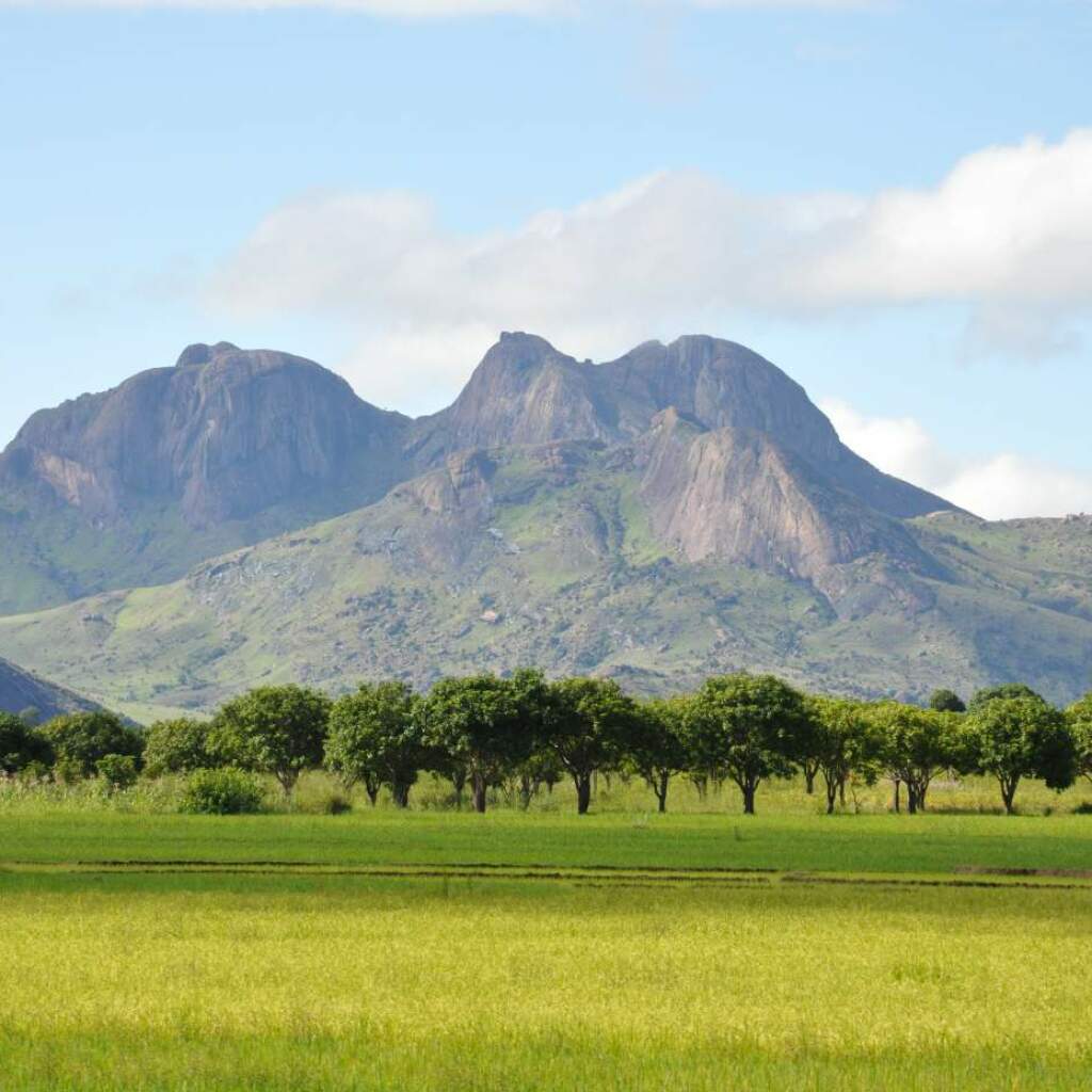Madagaskar Rundreise – Süden, Nationalparks & Lemuren